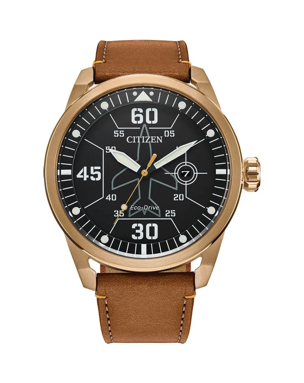 Citizen Eco Drive Pilot Watch AW1733 09E