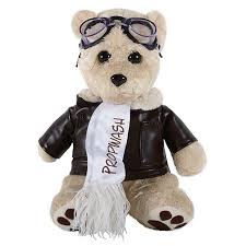 Propwash Pilot Bear