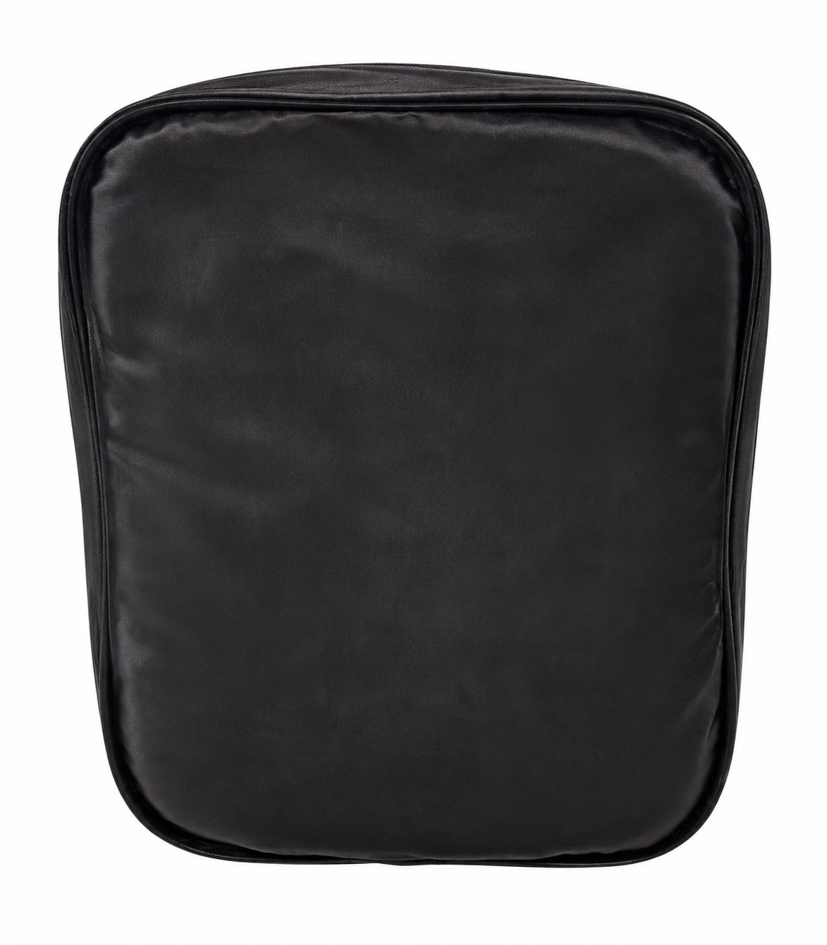 Skylines Wings Padded Headset Bag